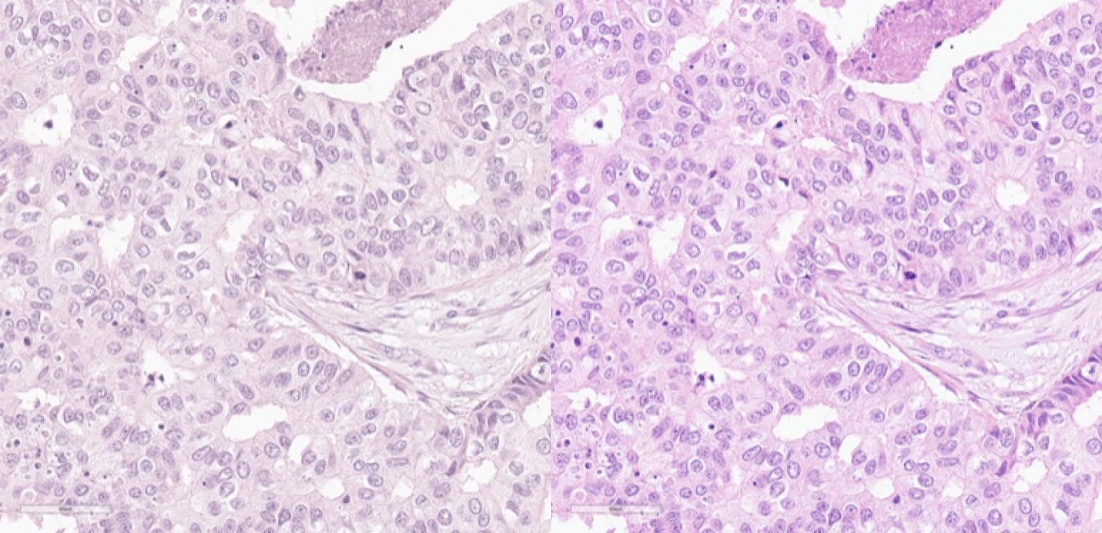 Image from Scanner D in the original (left) scanner color space and in the standard RGB color space (right).