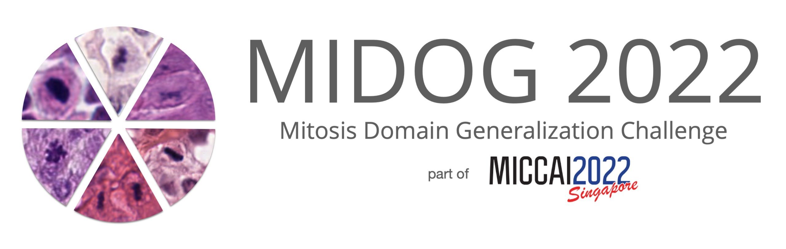 MIDOG 2022 banner